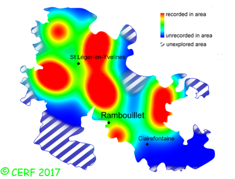 here should be the distribution map of Bjerkandera adusta in the forest of Rambouillet
