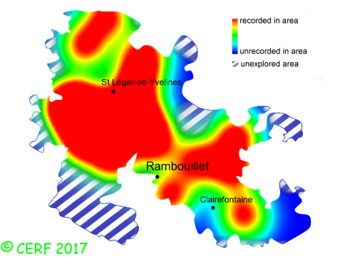 here should be the distribution map of Ampulloclitocybe clavipes in the forest of Rambouillet