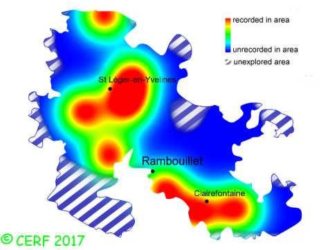 here should be the distribution map of Lactarius azonites in the forest of Rambouillet