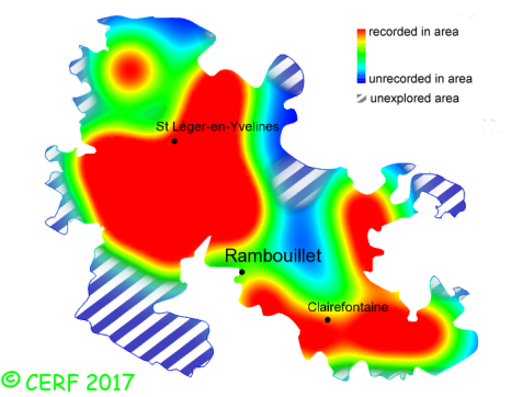 here should be the distribution map of Rickenella fibula in the forest of Rambouillet