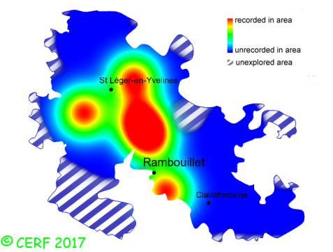here should be the distribution map of Entoloma conferendum in the forest of Rambouillet