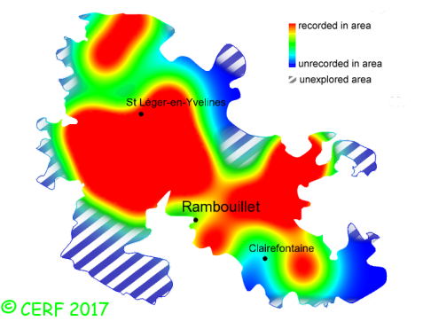 here should be the distribution map of Panellus stipticus in the forest of Rambouillet